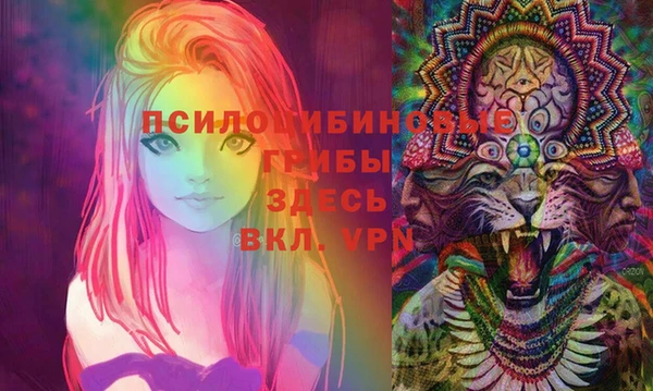 дурь Алексеевка