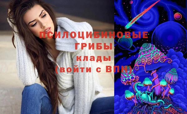 дурь Алексеевка